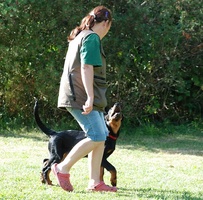 Obedience with Anneli DSC 0647